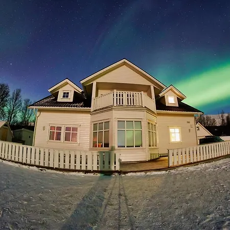 Green Gold Of Norway Willa