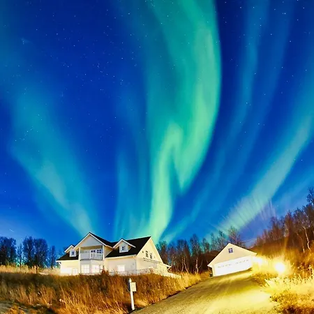 Green Gold Of Norway Nord-Lenangen